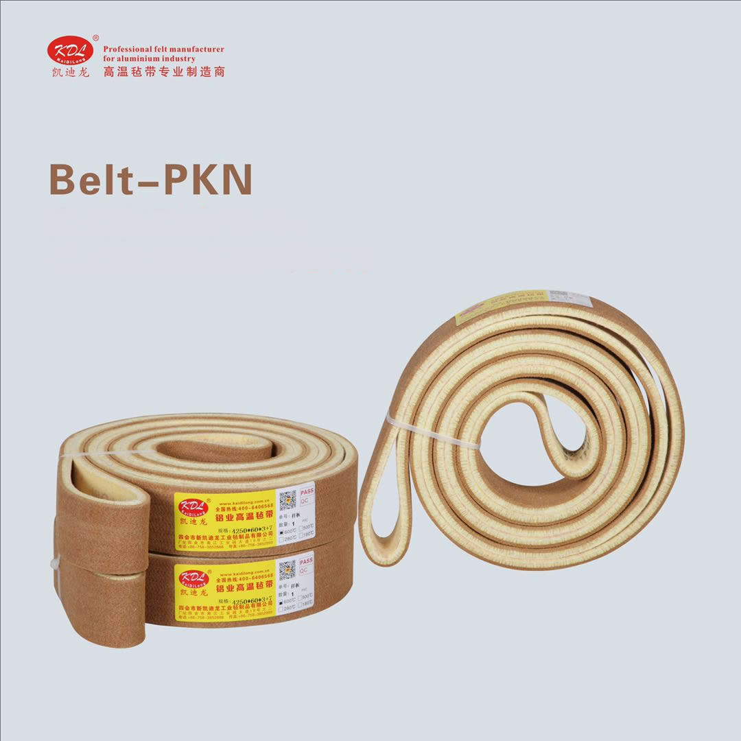Belt-PKN